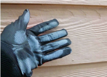 壁の色褪せ、苔やカビ、汚れの付着がないかチェック。