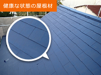 健康な状態の屋根材