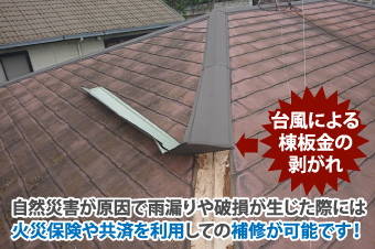 自然災害が原因で雨漏りや破損が生じた際には、火災保険や共済を利用しての補修が可能です!