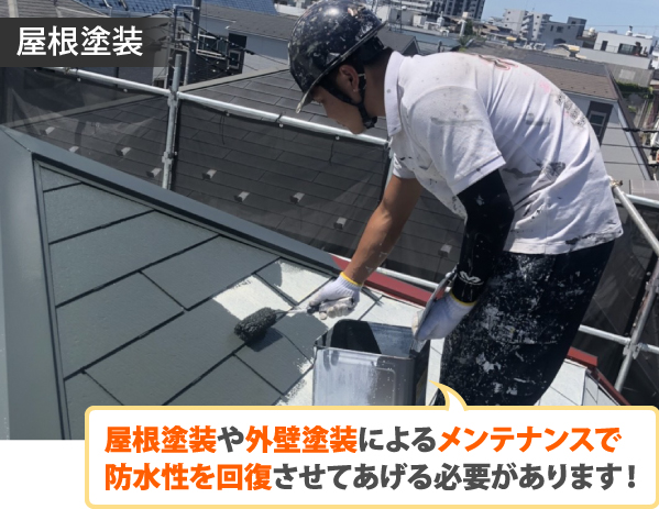 屋根塗装や外壁塗装によるメンテナンスで防水性を回復させてあげる必要があります!