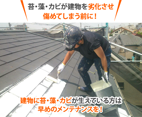 ・藻・カビが建物を劣化させ傷めてしまう前に!