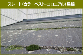 スレート(カラーベスト・コロニアル)屋根