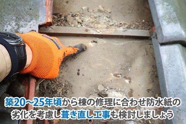 築20~25年頃から棟の修理に合わせ防水紙の劣化を考慮し葺き直し工事も検討しましょう
