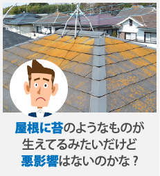 屋根に苔のようなものが生えてるみたいだけど悪影響はないのかな?