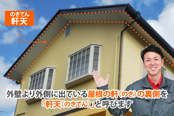 外壁より外側に出ている屋根の軒(のき)の裏側を「軒天(のきてん)」と呼びます