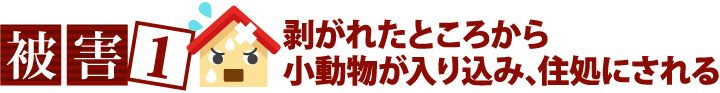 被害1剥がれたところから小動物が入り込み、住処にされる