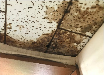 悪天候後の点検は街の屋根やさんへ!