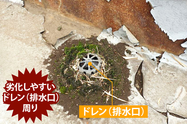 劣化しやすいドレン(排水口)周り