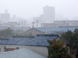 強風や大雨に強く、丈夫で割れません