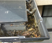 落葉などが詰まっている